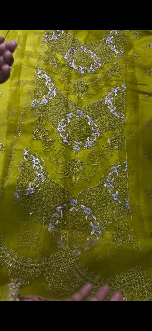 2PC Embroidered Lawn Suit Multi Dhani