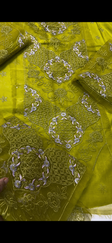 2PC Embroidered Lawn Suit Multi Dhani