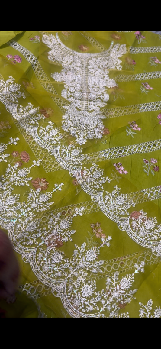 Elegant 2PC Chicken Kari Dhani