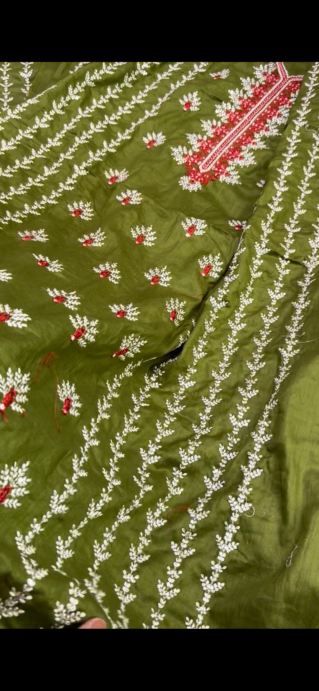 Parrot 2pc Luxury Qalamkar