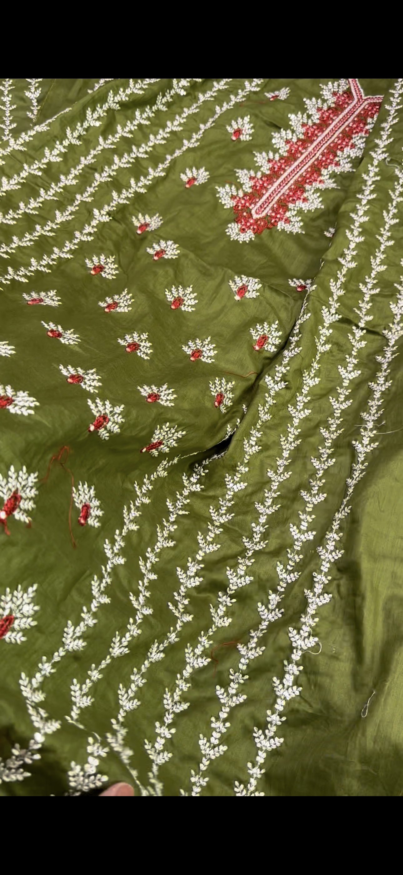 Parrot 2pc Luxury Qalamkar