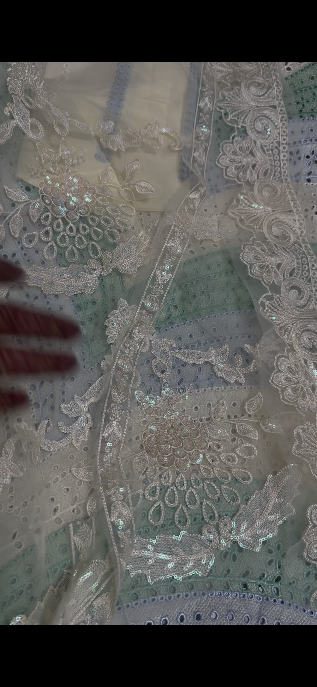 Luxury Pakistani Dress