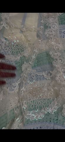 Luxury Pakistani Dress