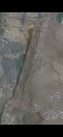 Luxury Pakistani Dress