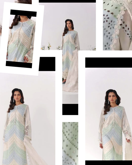 Luxury Pakistani Dress